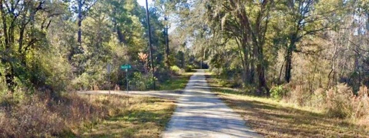 Picture of Residential Land For Sale in Webster, Florida, United States