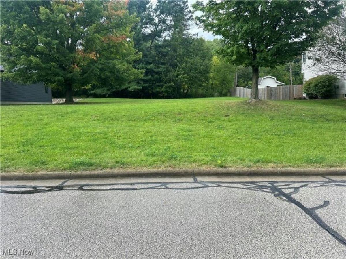 Picture of Residential Land For Sale in Doylestown, Ohio, United States