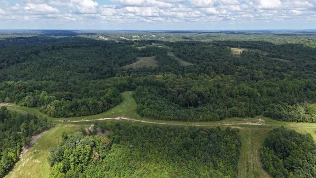 Picture of Residential Land For Sale in Indian Mound, Tennessee, United States