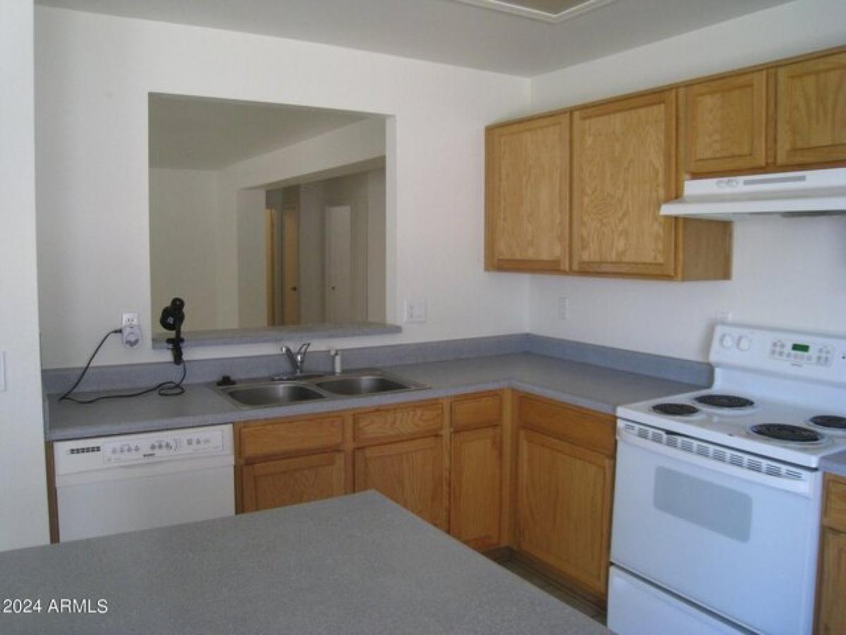 Picture of Home For Rent in Mesa, Arizona, United States