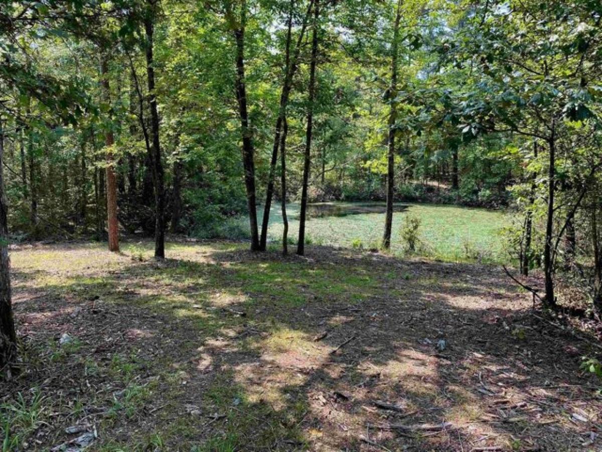 Picture of Residential Land For Sale in Amity, Arkansas, United States