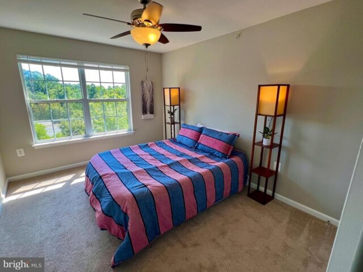 Picture of Apartment For Rent in Herndon, Virginia, United States