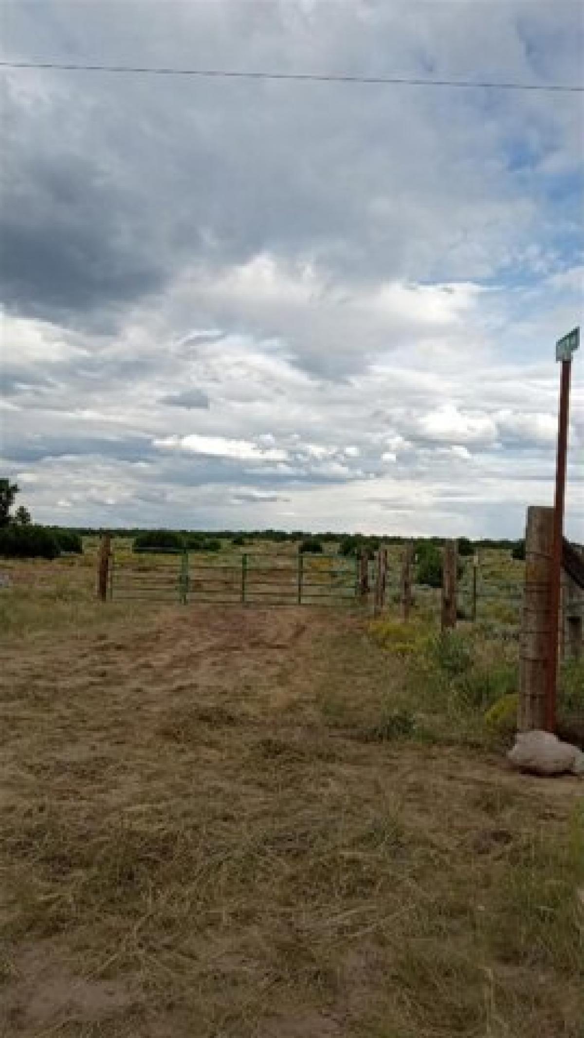 Picture of Residential Land For Sale in Pie Town, New Mexico, United States