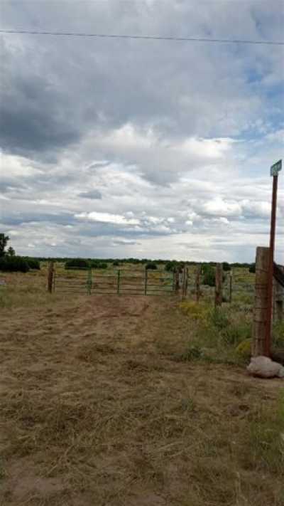 Residential Land For Sale in Pie Town, New Mexico