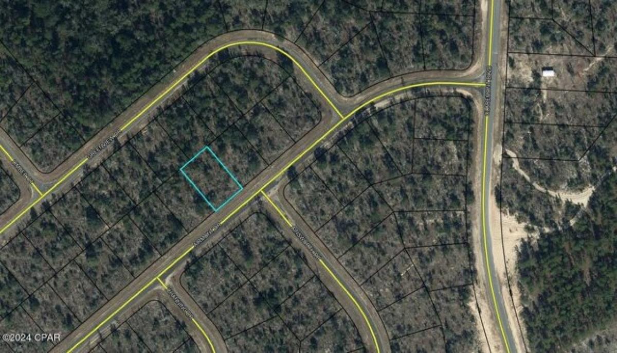 Picture of Residential Land For Rent in Chipley, Florida, United States