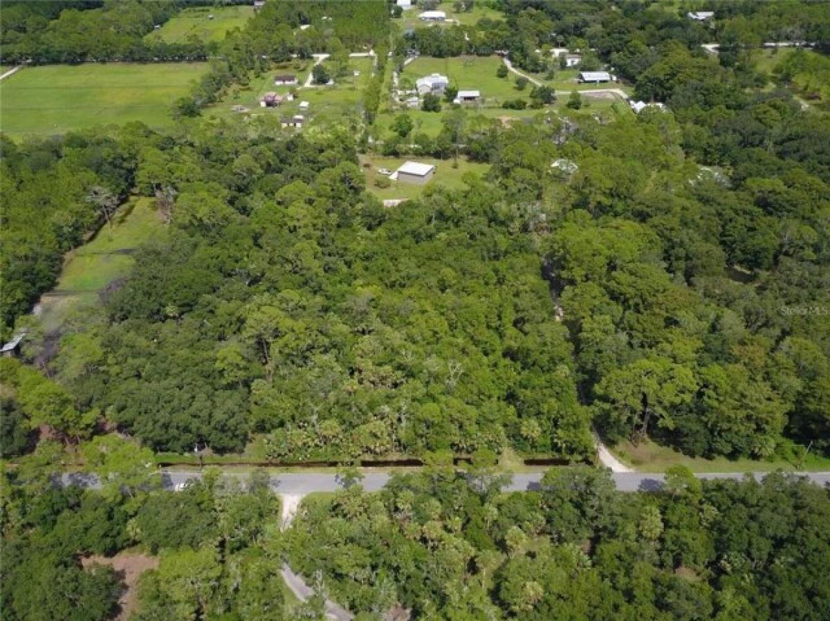 Picture of Residential Land For Sale in Port Orange, Florida, United States