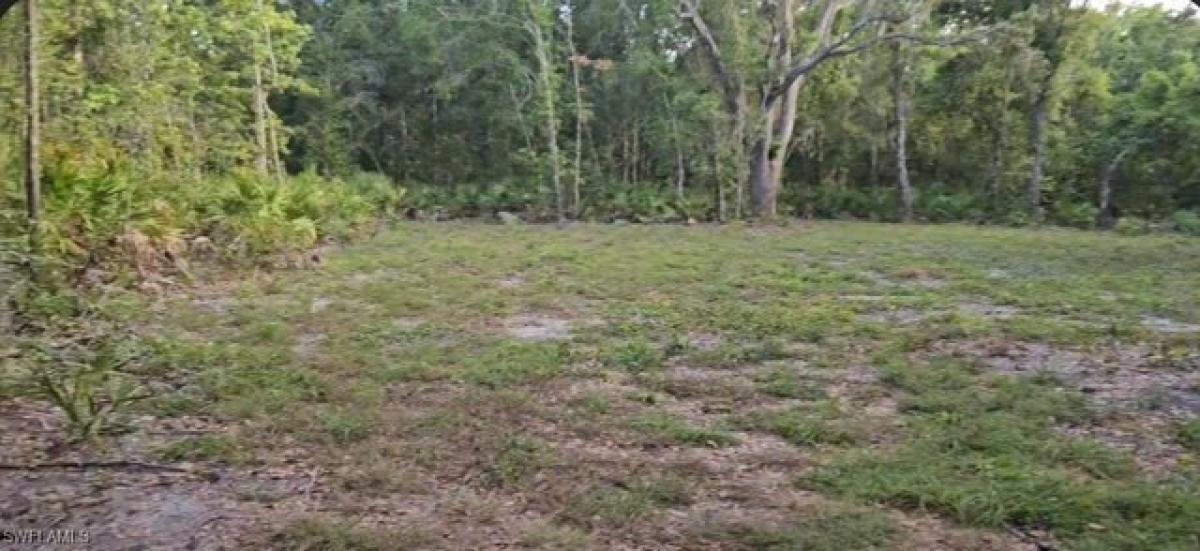 Picture of Residential Land For Sale in Wauchula, Florida, United States