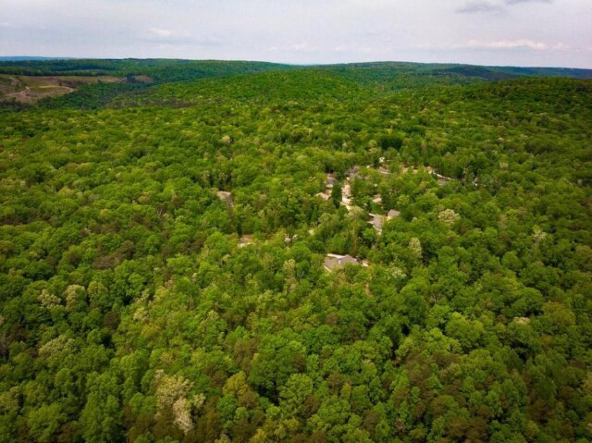 Picture of Residential Land For Sale in Signal Mountain, Tennessee, United States