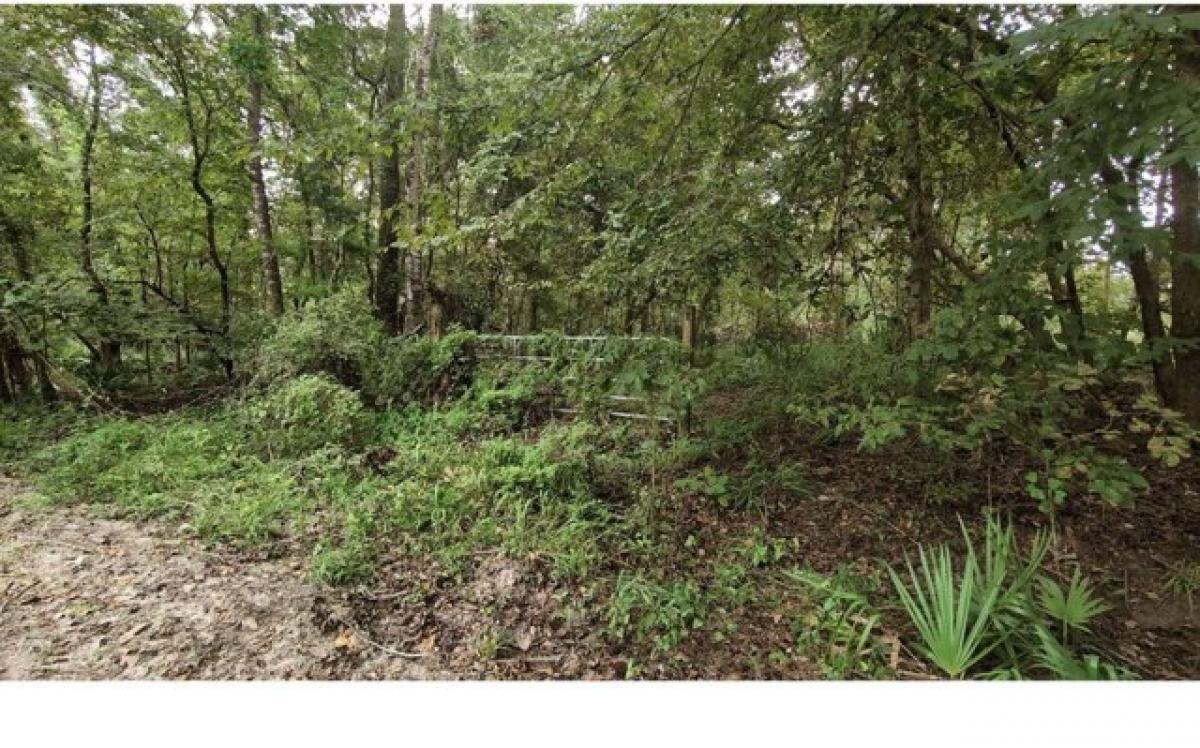 Picture of Residential Land For Sale in Jasper, Florida, United States