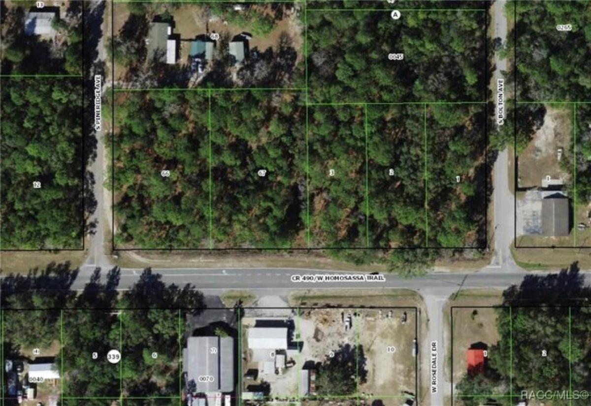 Picture of Residential Land For Sale in Homosassa, Florida, United States