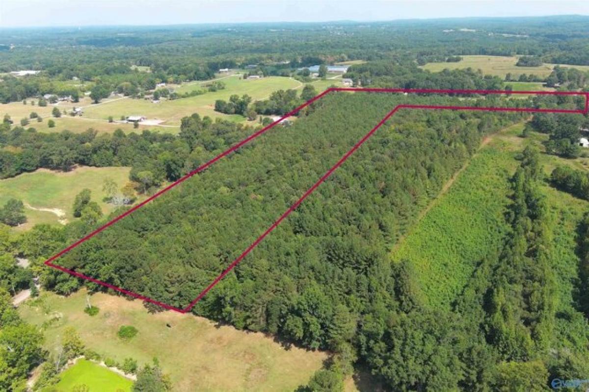 Picture of Residential Land For Sale in Danville, Alabama, United States