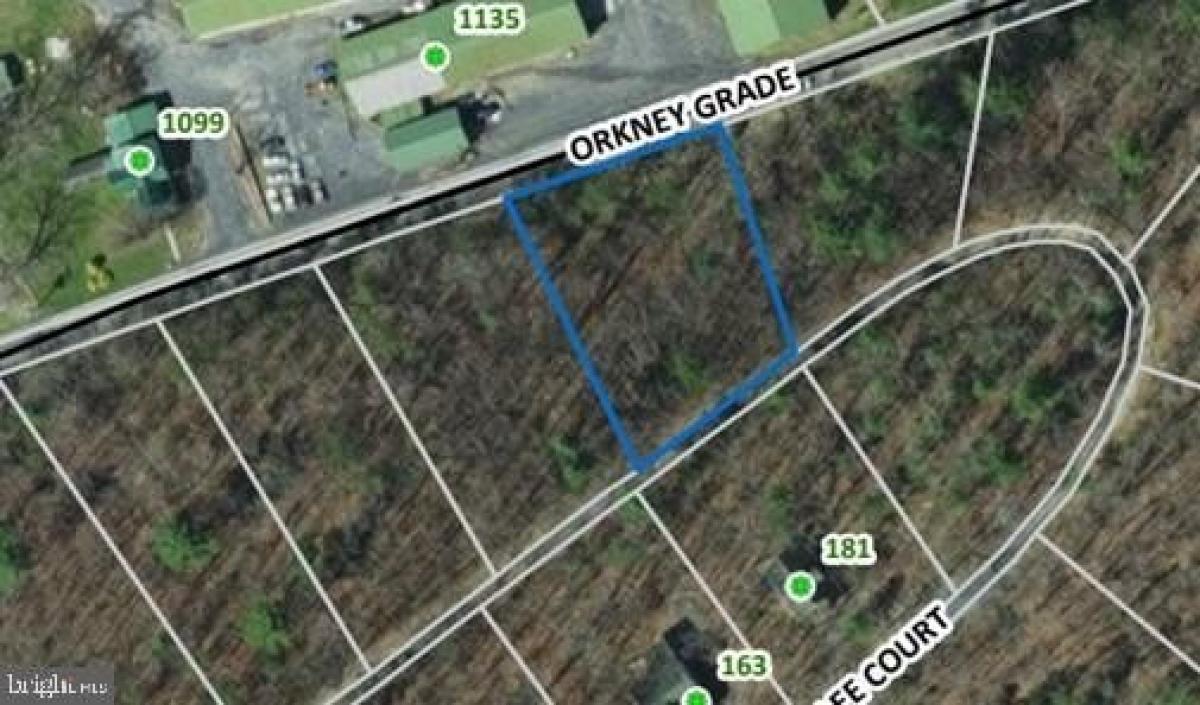 Picture of Residential Land For Sale in Basye, Virginia, United States