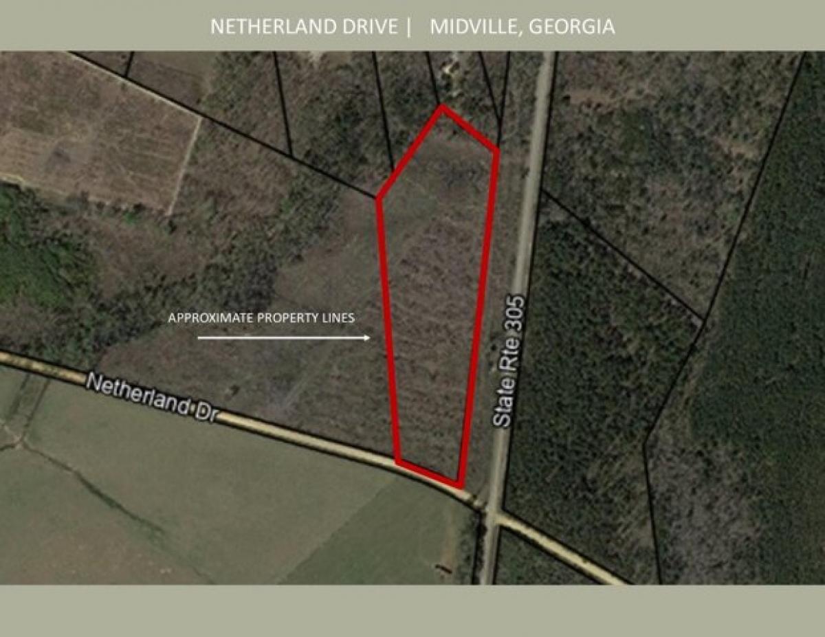 Picture of Residential Land For Sale in Midville, Georgia, United States