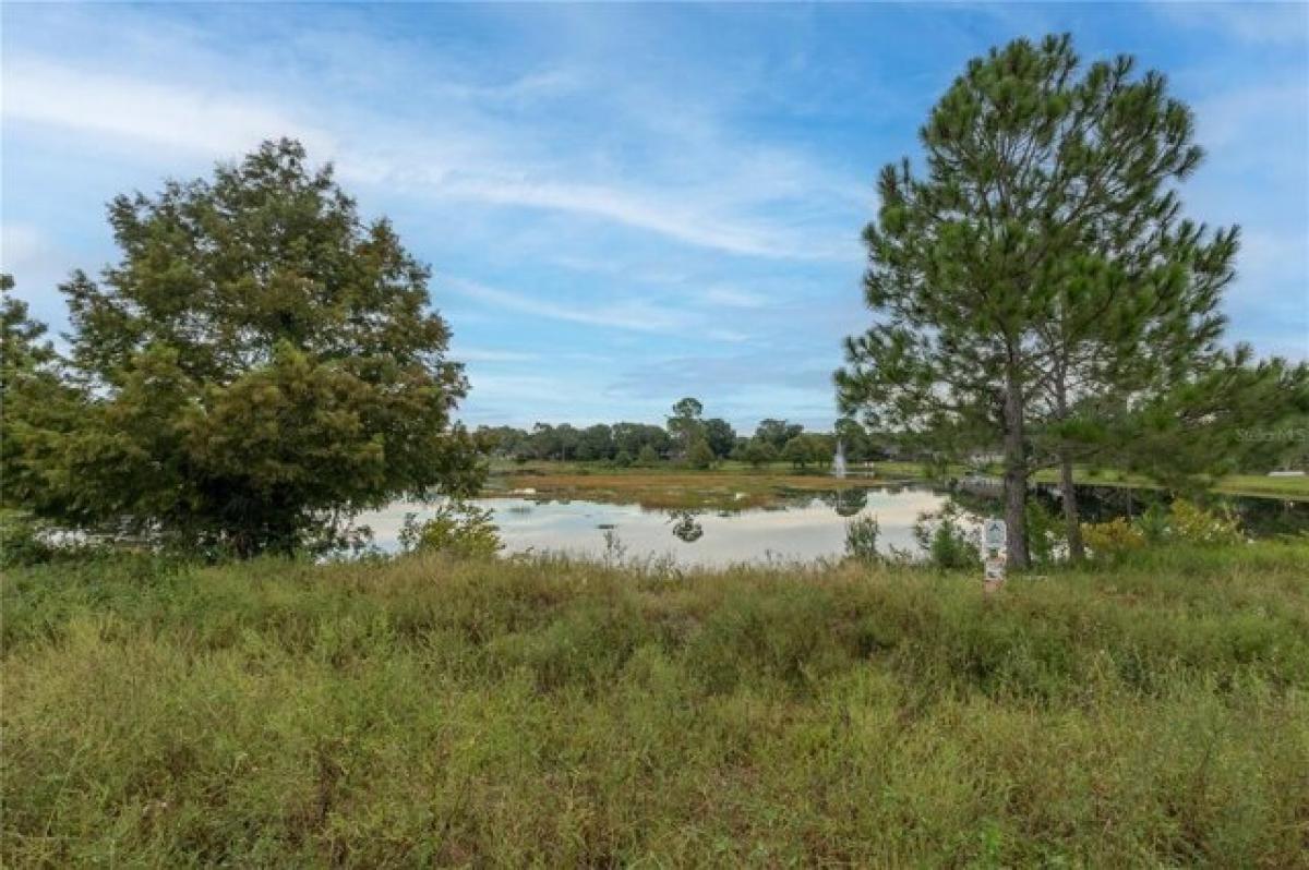 Picture of Residential Land For Sale in Leesburg, Florida, United States