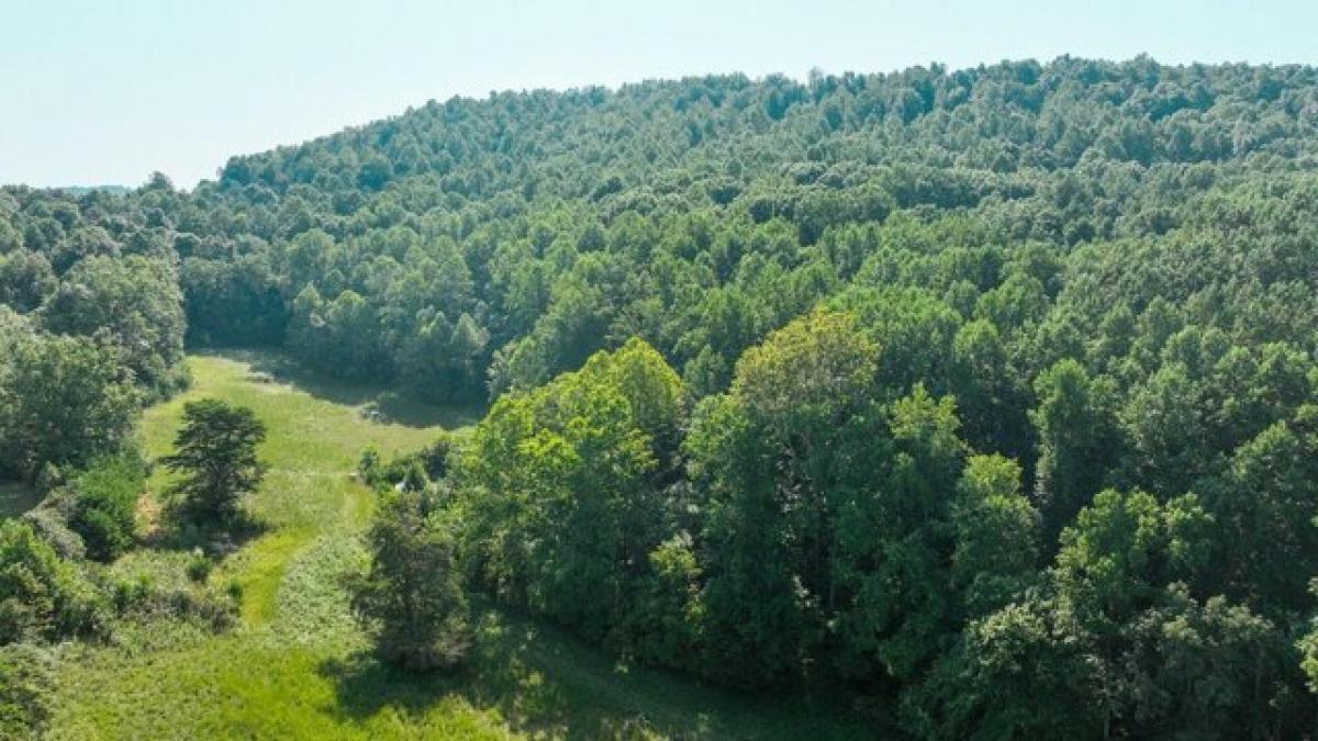 Picture of Residential Land For Sale in Mount Vernon, Kentucky, United States