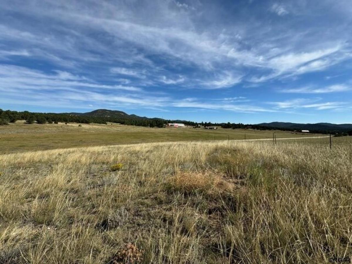 Picture of Residential Land For Sale in Cotopaxi, Colorado, United States