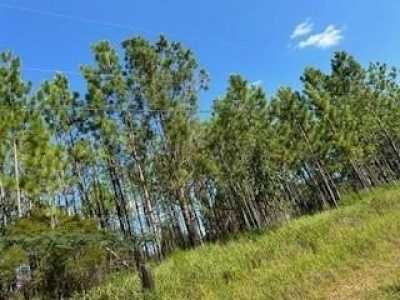 Residential Land For Sale in Mobile, Alabama