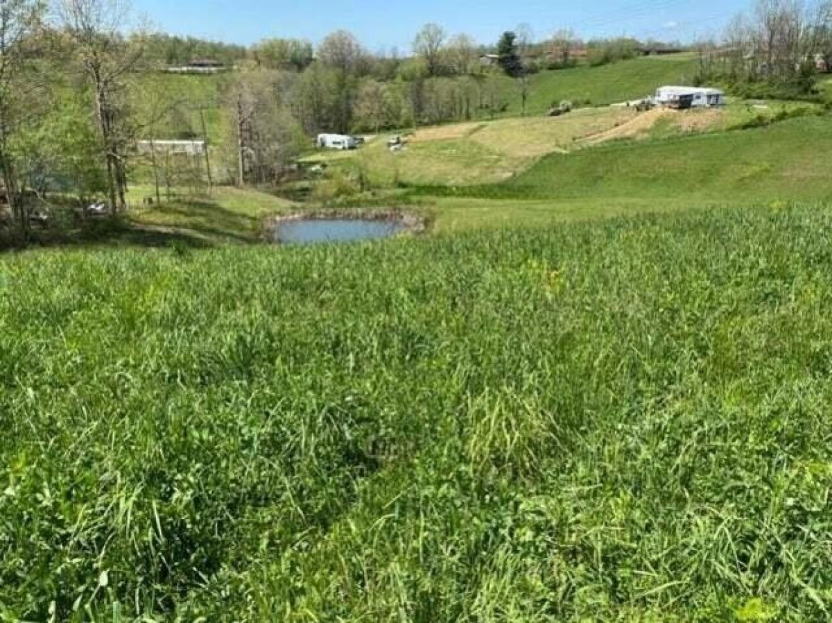 Picture of Residential Land For Sale in Morehead, Kentucky, United States