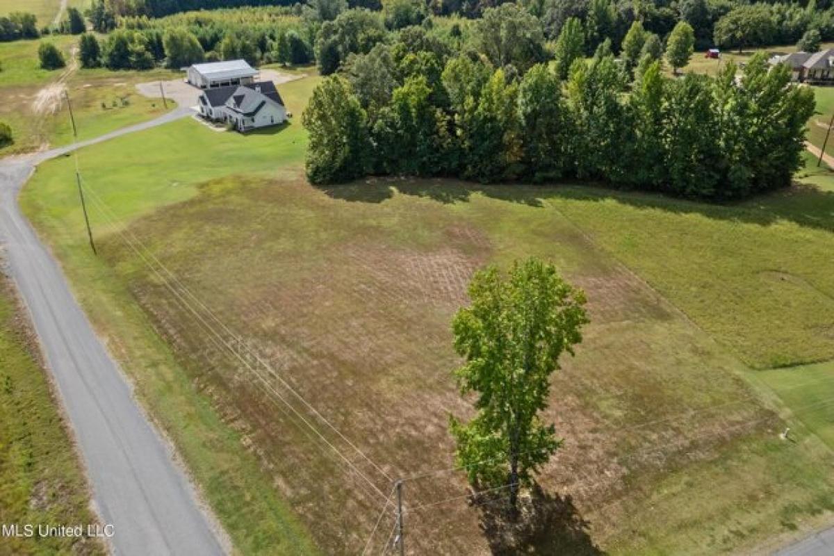 Picture of Residential Land For Sale in Coldwater, Mississippi, United States