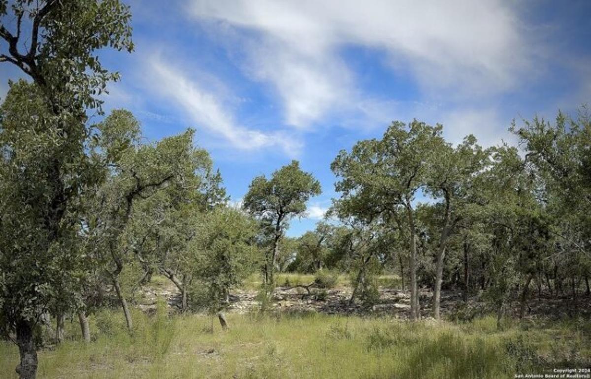 Picture of Residential Land For Sale in Bulverde, Texas, United States