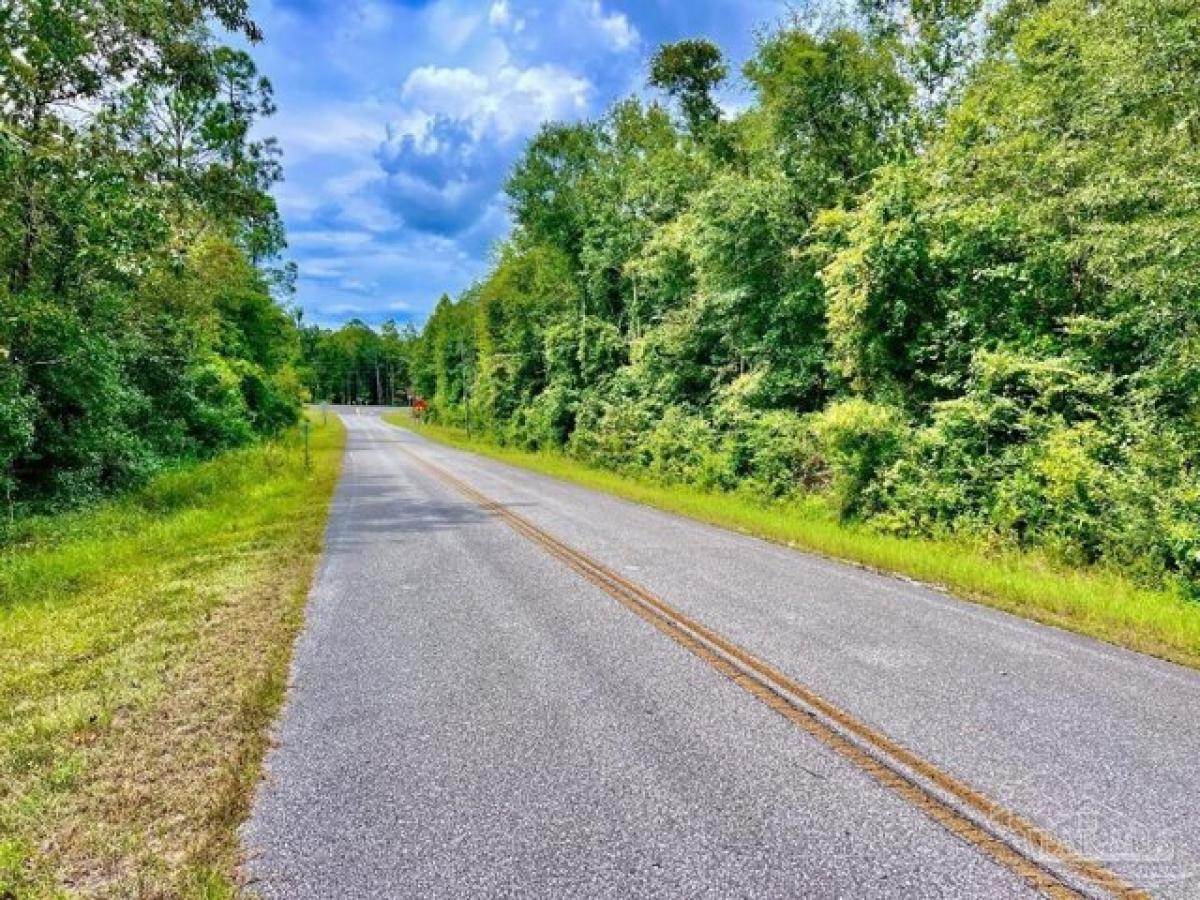 Picture of Residential Land For Sale in Molino, Florida, United States