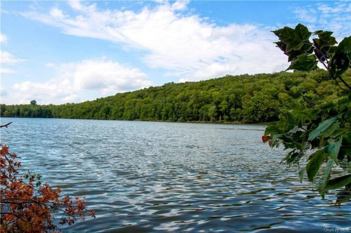 Picture of Home For Sale in Swan Lake, New York, United States