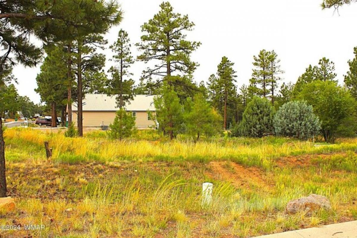 Picture of Residential Land For Sale in Show Low, Arizona, United States