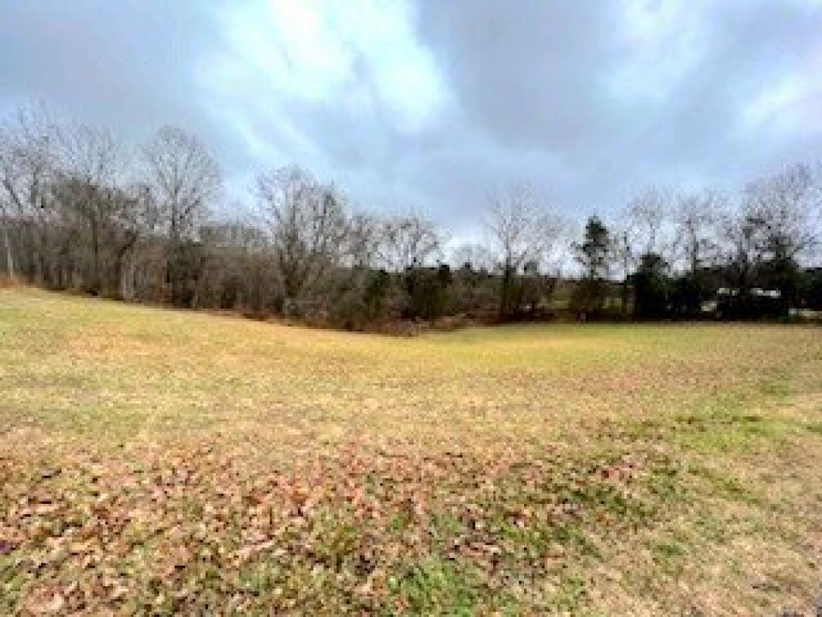 Picture of Residential Land For Sale in White Bluff, Tennessee, United States