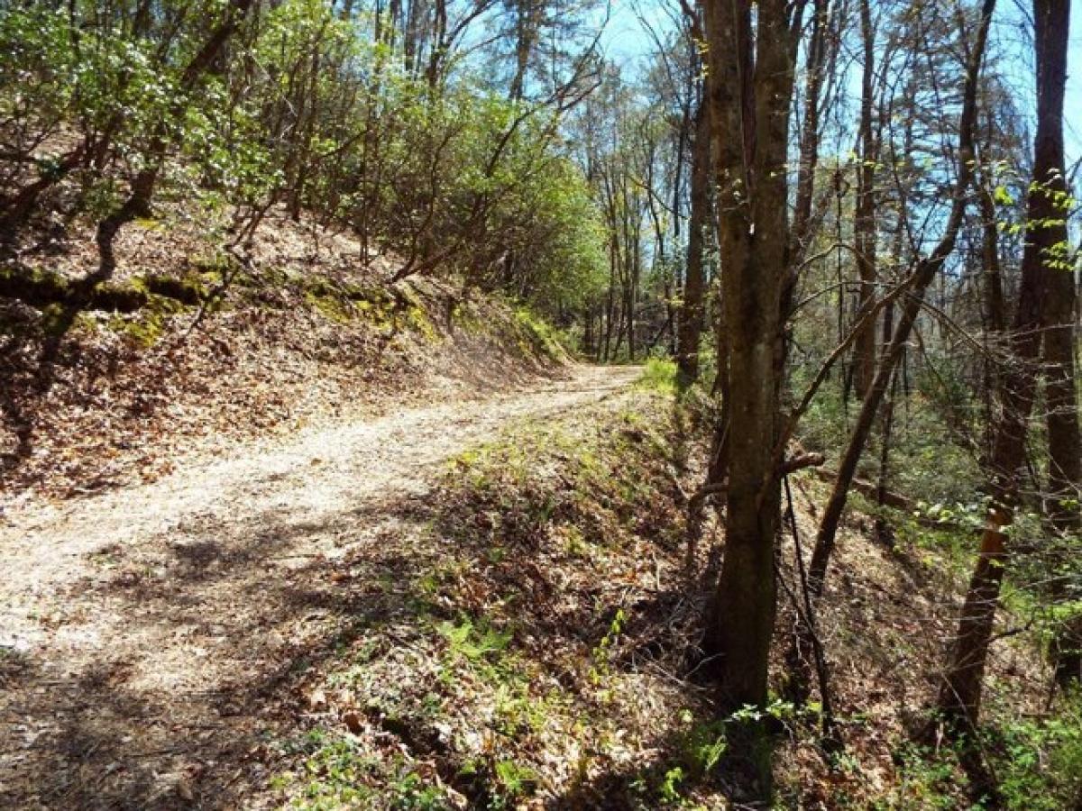 Picture of Residential Land For Sale in Whittier, North Carolina, United States