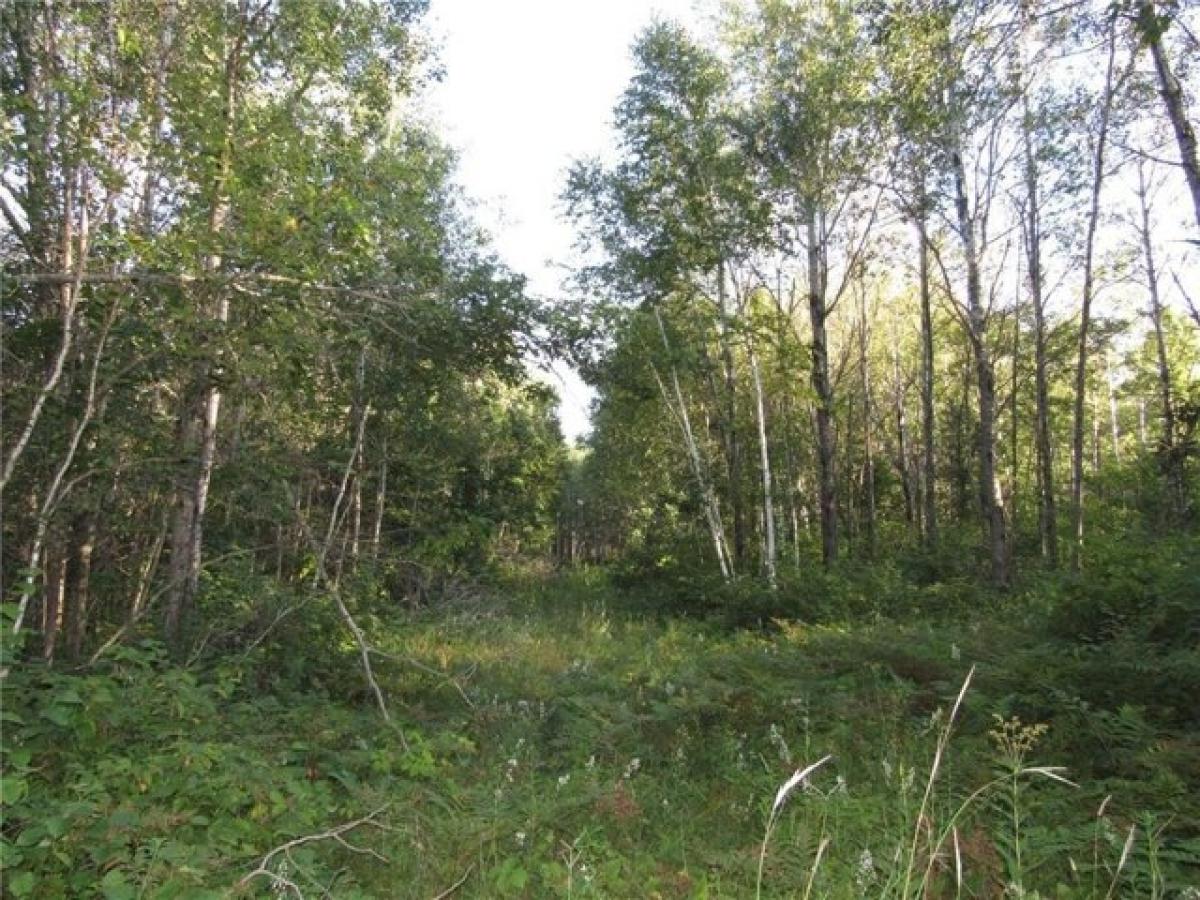 Picture of Residential Land For Sale in Backus, Minnesota, United States