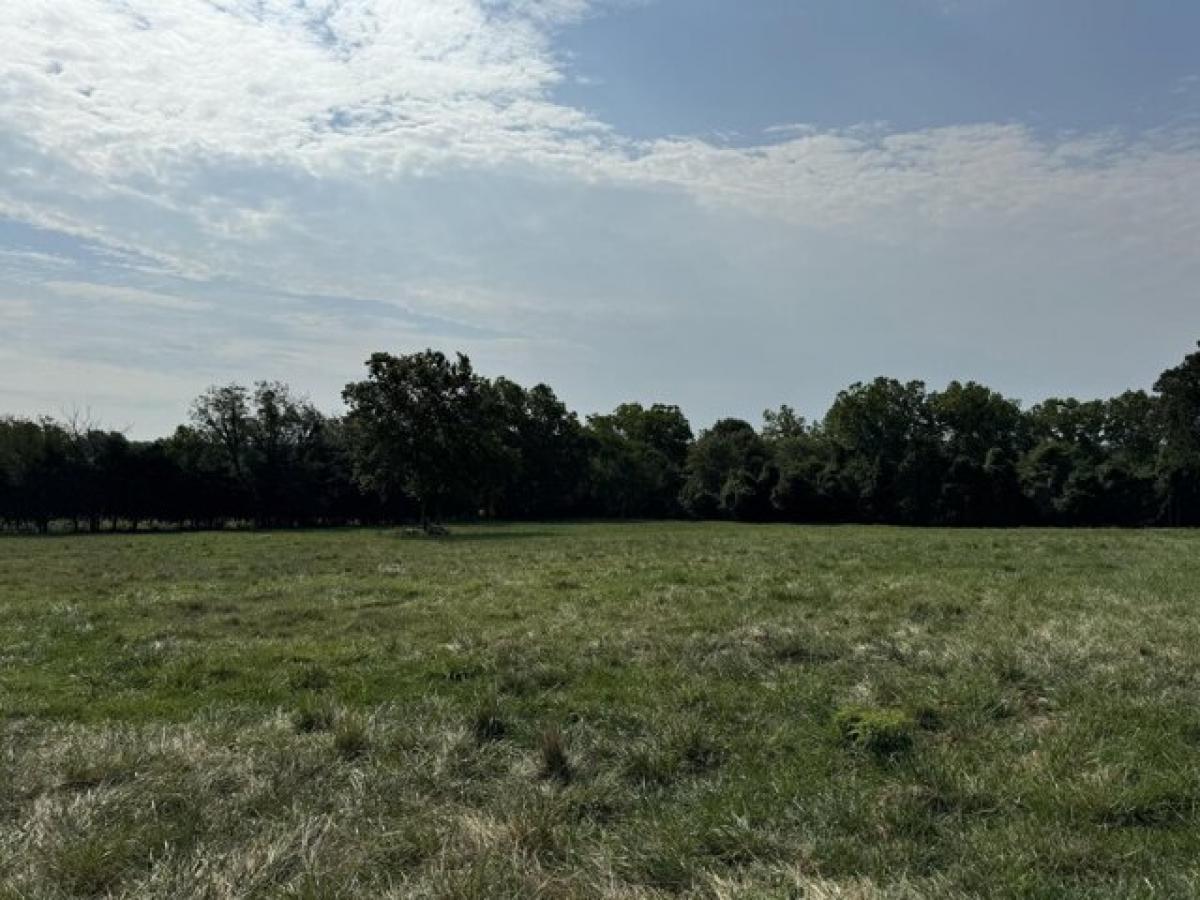 Picture of Residential Land For Sale in Elkland, Missouri, United States