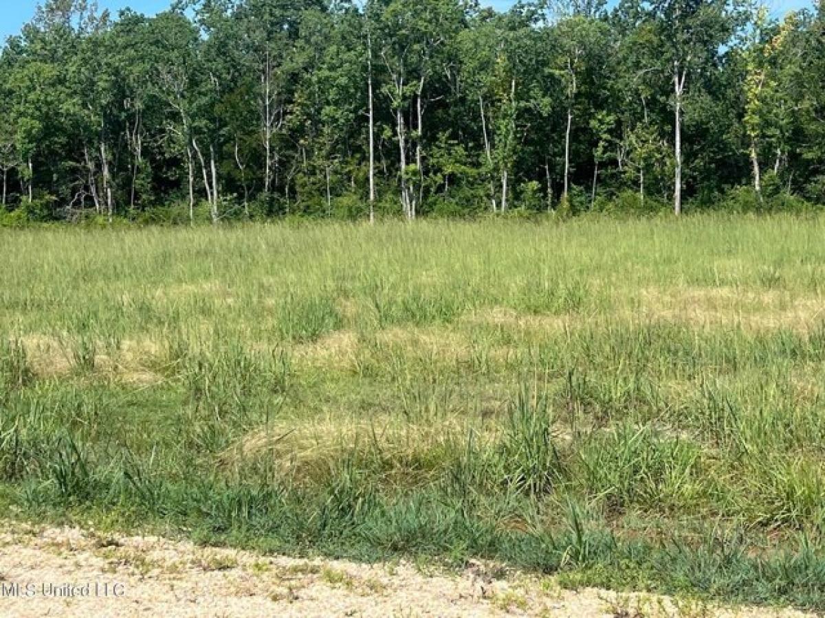 Picture of Residential Land For Sale in Picayune, Mississippi, United States