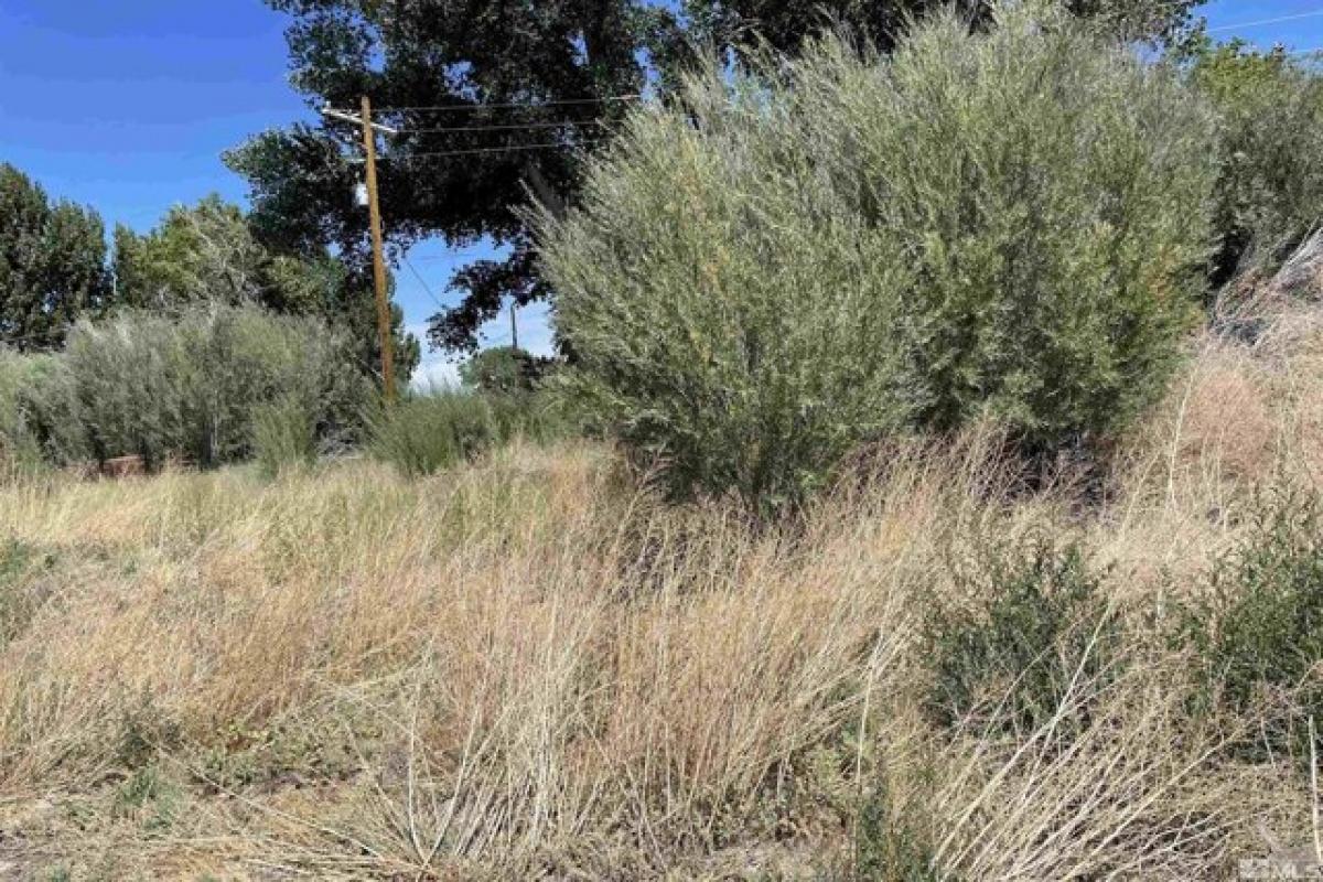 Picture of Residential Land For Sale in Yerington, Nevada, United States