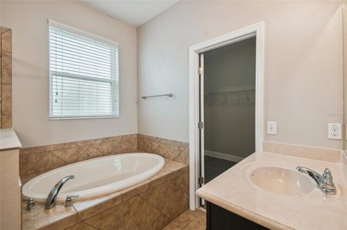 Picture of Home For Rent in Windermere, Florida, United States