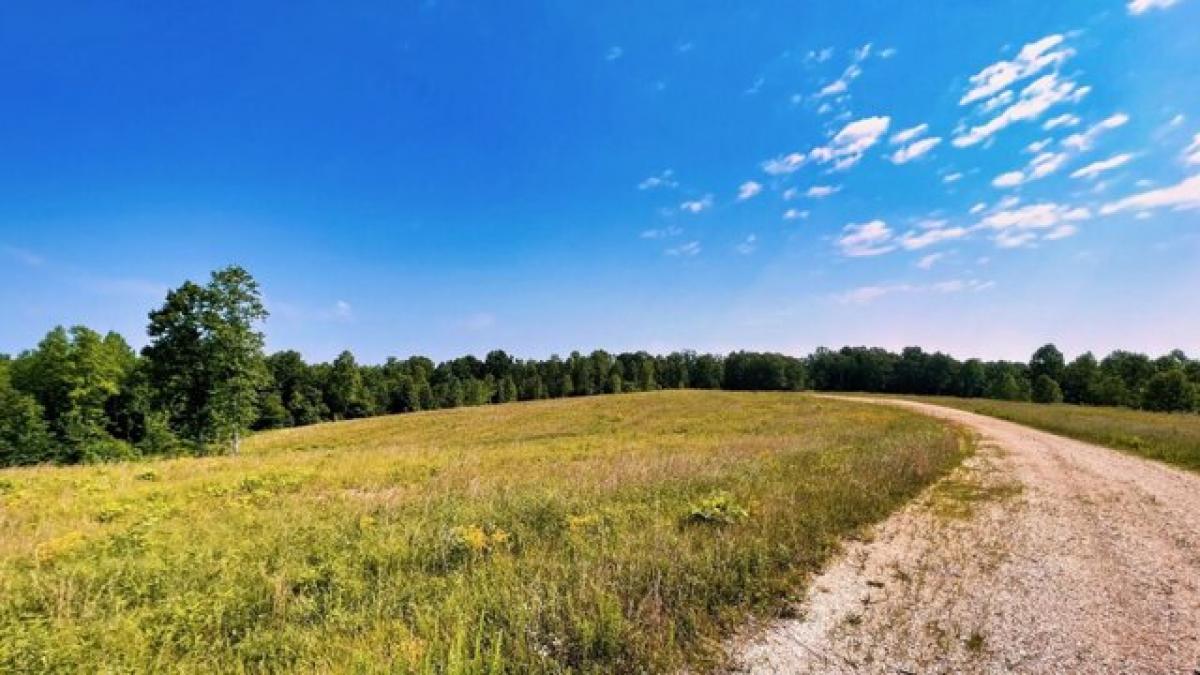 Picture of Residential Land For Sale in Indian Mound, Tennessee, United States