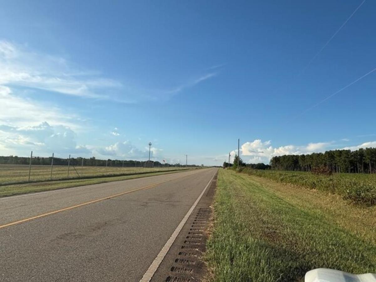 Picture of Residential Land For Sale in Abbeville, Alabama, United States