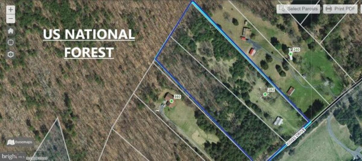 Picture of Residential Land For Sale in Fort Valley, Virginia, United States