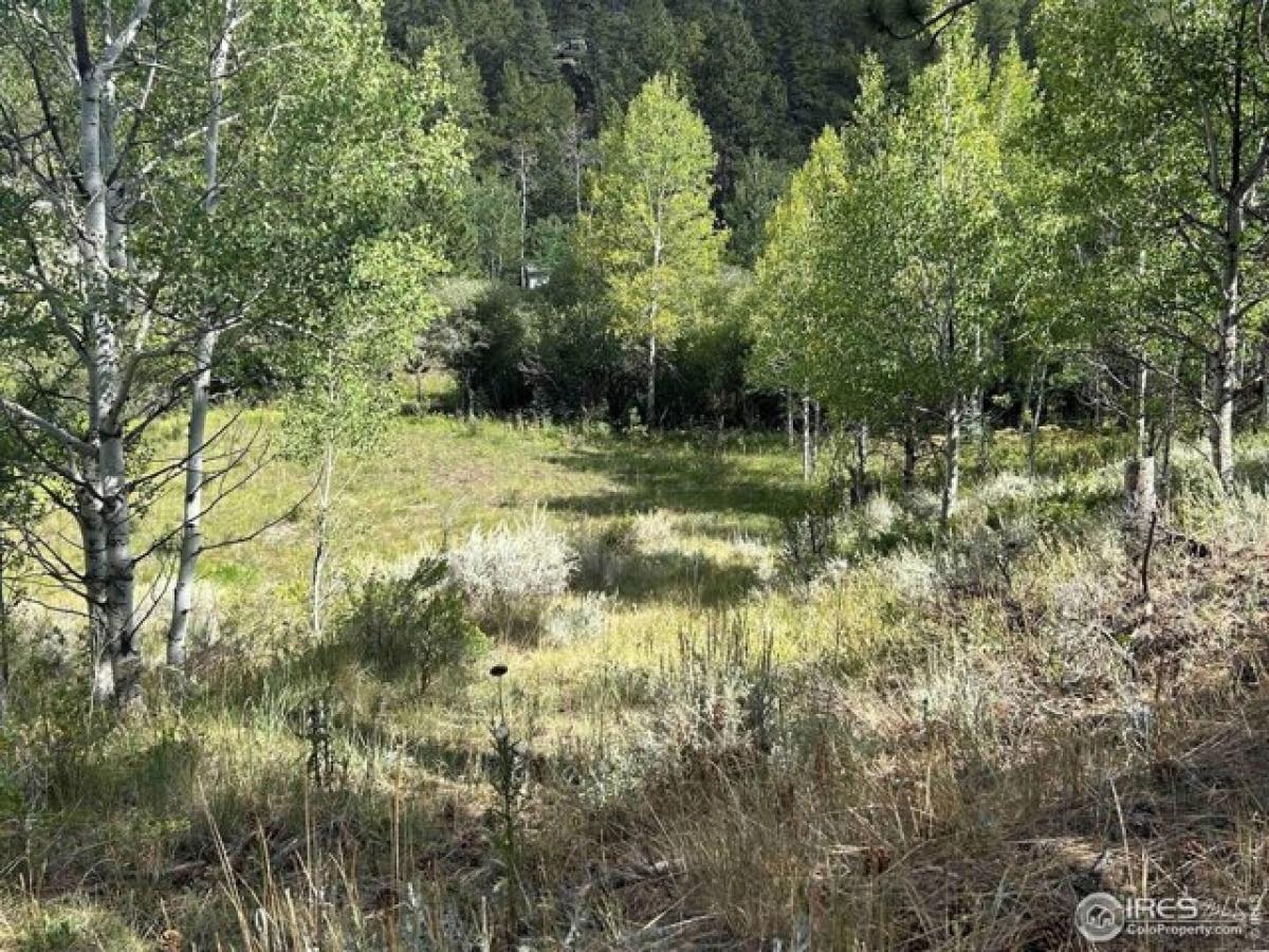 Picture of Residential Land For Sale in Red Feather Lakes, Colorado, United States