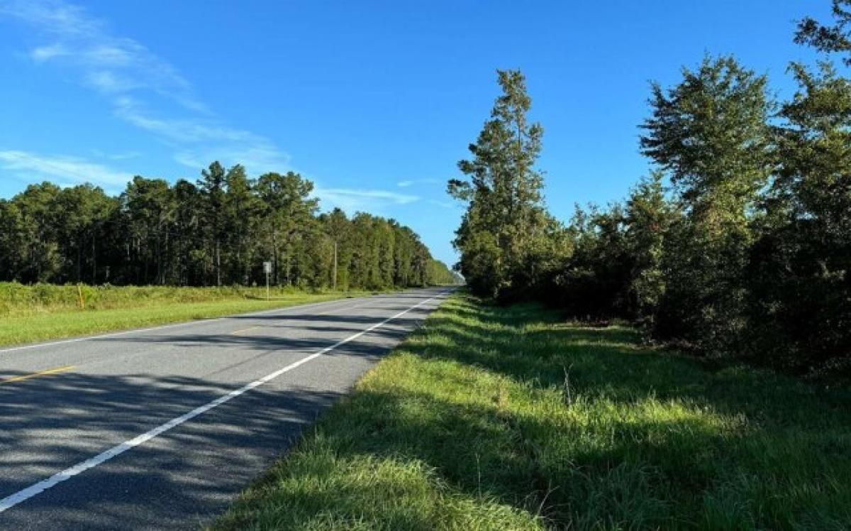 Picture of Residential Land For Sale in Lake City, Florida, United States