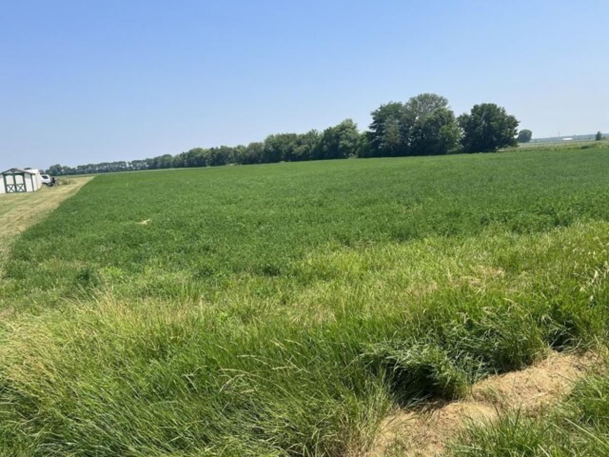 Picture of Residential Land For Sale in Morris, Illinois, United States