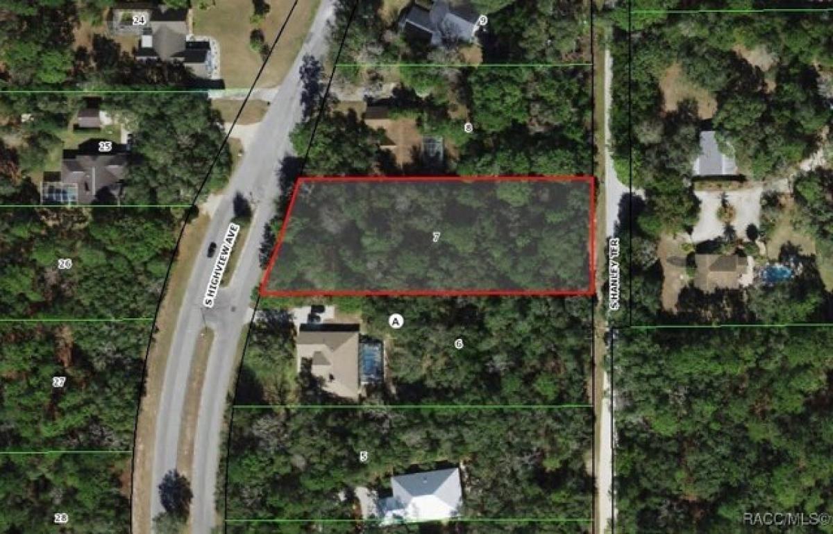 Picture of Residential Land For Sale in Lecanto, Florida, United States