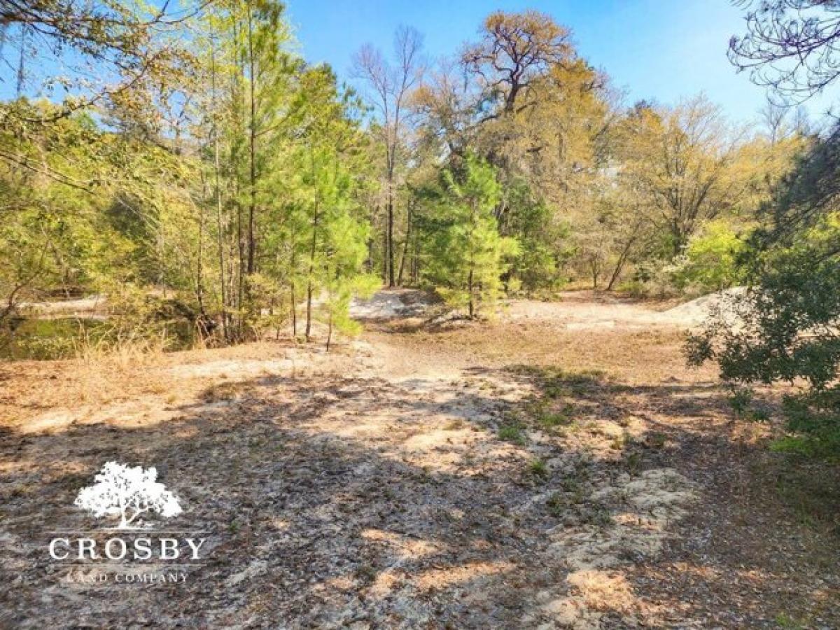 Picture of Residential Land For Sale in Guyton, Georgia, United States