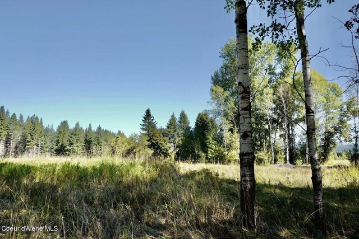 Picture of Residential Land For Sale in Sandpoint, Idaho, United States