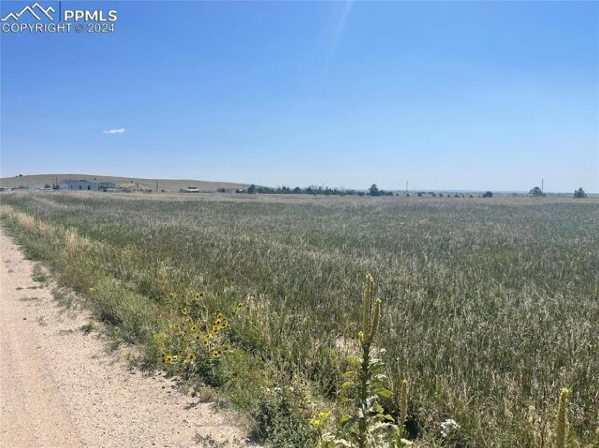 Picture of Residential Land For Sale in Peyton, Colorado, United States