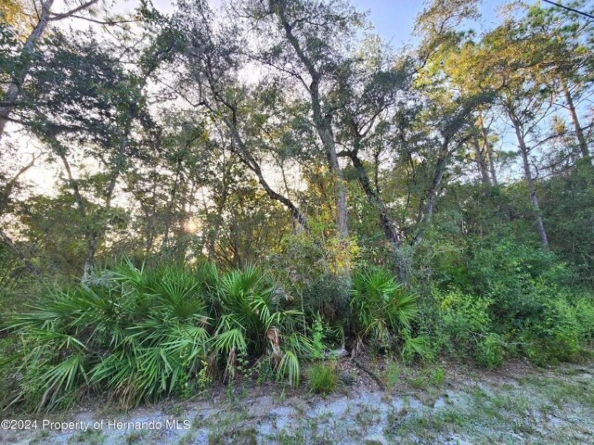 Picture of Residential Land For Sale in Weeki Wachee, Florida, United States