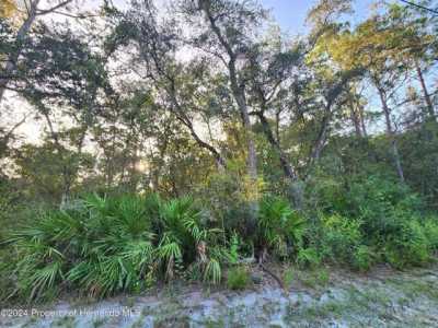 Residential Land For Sale in Weeki Wachee, Florida