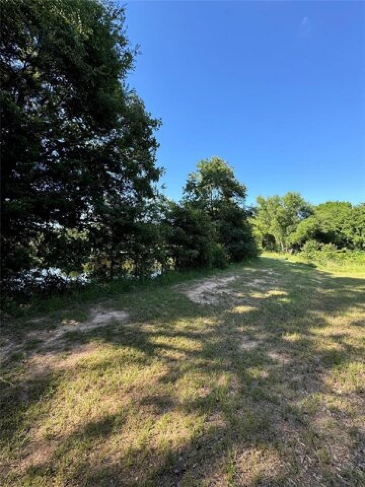 Picture of Residential Land For Sale in Yantis, Texas, United States