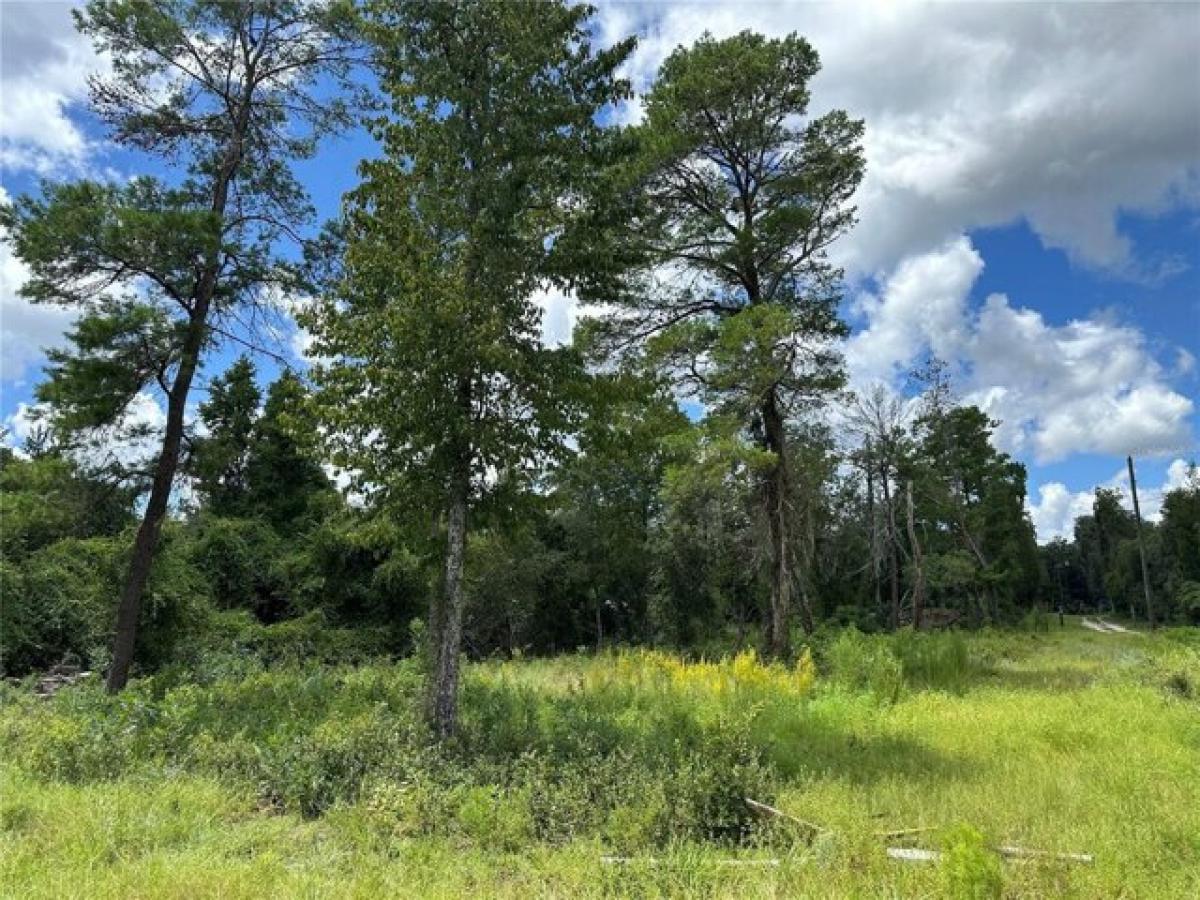 Picture of Residential Land For Sale in Fort Mccoy, Florida, United States