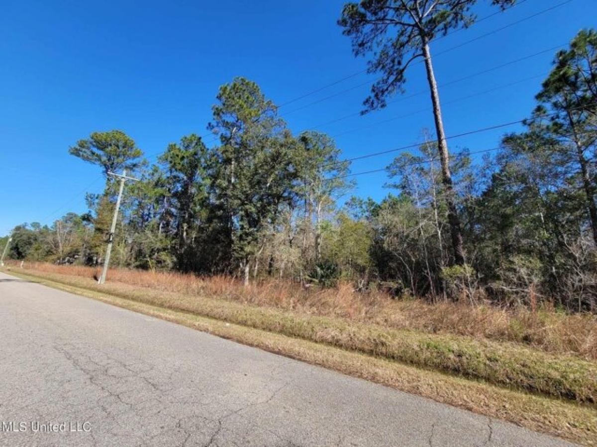 Picture of Residential Land For Rent in Bay Saint Louis, Mississippi, United States