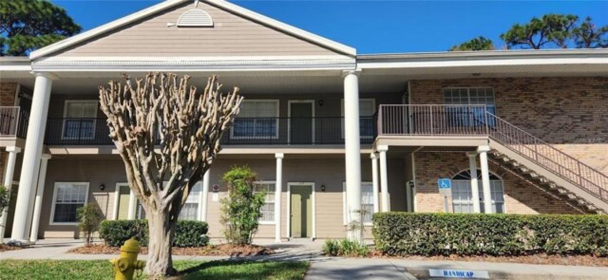 Picture of Home For Rent in Oviedo, Florida, United States